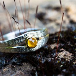 Goldschmiede Landwehr | Ringe